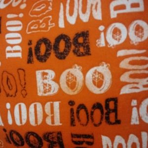 Halloween BOO! Pillow
